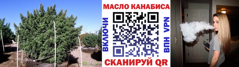 купить  сайты  Мураши  Дистиллят ТГК концентрат 