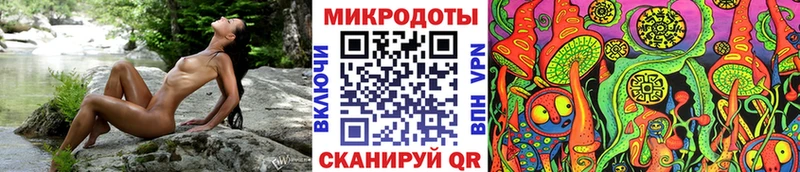 где купить наркоту Мураши Псилоцибиновые грибы Magic Shrooms
